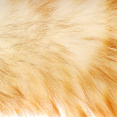 Щетка VETTA для удаления пыли (445-406)