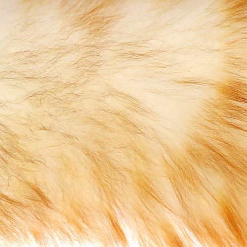 Щетка VETTA для удаления пыли (445-406)