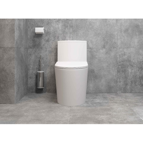 Унитаз-монолит EVA GOLD SM5003 сиденье ДП, безободковый, с гофрой и гибкой подводкой