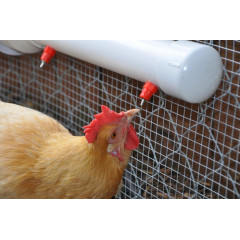 Поилка ниппельная для домашней птицы GREENGO (4496978)