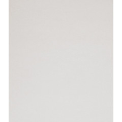 Рулонные жалюзи Лестер 66*175 светло-серый