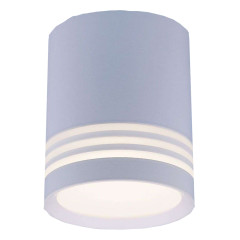 Светильник накладной ES DLR032 6W 4200K белый