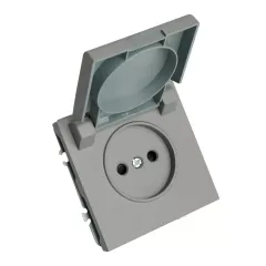 Розетка 2P ЭМИЛИ защ.шторки с крышкой платиново-сер RST16-5113-10