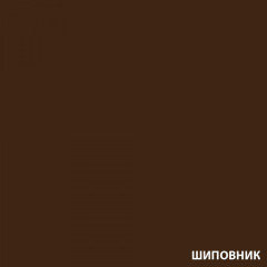 Паста колерная DALI универсальная ШИПОВНИК 0,1кг (8шт)